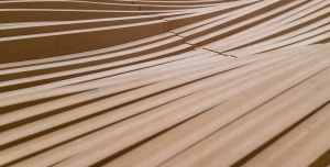 雪樂健康萬用板